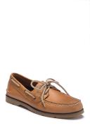 Sperry