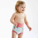 Splash about New and Improved Happy Nappy Swim Diapers (Little Ducks, 0-3 Months)