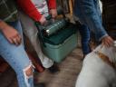 Stanley Adventure Series Easy Carry Outdoor Cooler, Green