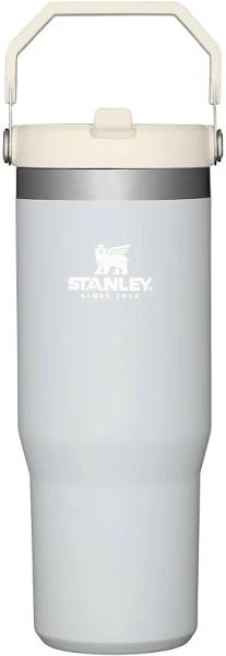 Stanley Classic The IceFlow Flip Straw Tumbler 30oz Cloud, 1 Count (Pack of 1)