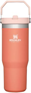 Stanley Classic The IceFlow Flip Straw Tumbler 30oz Grapefruit, 1 Count (Pack of 1)