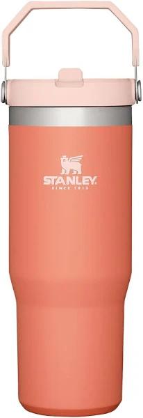 Stanley Classic The IceFlow Flip Straw Tumbler 30oz Grapefruit, 1 Count (Pack of 1)