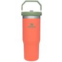 Stanley Classic The IceFlow Flip Straw Tumbler 30oz Pool