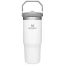Stanley Classic The IceFlow Flip Straw Tumbler 30oz Pool