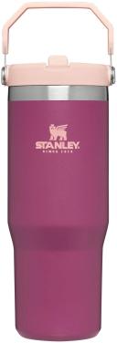 Stanley IceFlow Flip Straw Tumbler 30oz Raspberry
