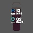 Stanley IceFlow Flip Straw Tumbler 30oz Raspberry