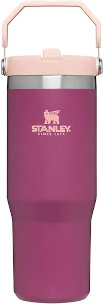 Stanley IceFlow Flip Straw Tumbler 30oz Raspberry