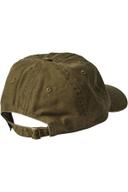 Stock Low Pro Cap Dusty Green Gold
