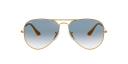 Sunglasses Ray-Ban Aviator RB3025 9224T5
