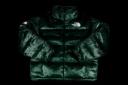 Supreme The North Face Faux Fur Nuptse Jacket Green