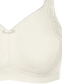 Susa London Wirefree Bra Champagne 10F / Champagne