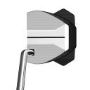 TaylorMade Spider GTX - Single Bend, Right Hand / 34 Inches / Silver