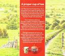 Taylors of Harrogate Yorkshire Red 80 Teabags Pack of 5