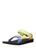 Teva Women's Original Universal Wind Multi / 7