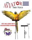 The Aviator Pet Bird Harness and Leash: Medium Purple