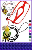 The Aviator Pet Bird Harness and Leash: Medium Purple