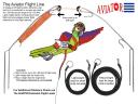 The Aviator Pet Bird Harness and Leash: Medium Purple