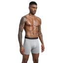 The Boxer Brief - 5 Pack XL