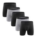 The Boxer Brief - 5 Pack XL