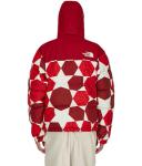 The North Face 1996 Retro Nuptse 700 Fill Packable Jacket Porcelain Green