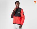 The North Face Black Box Denali Jacket