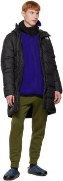 The North Face Black Hydrenalite Down Coat