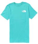 The North Face Box NSE Mens Short Sleeve Tee - TNF White/Banff Blue - XL