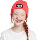 The North Face Hats Kids TNF Box Logo Cuffed Beanie Hat - Dandelion