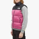 The North Face Men's 1996 Retro Nuptse Vest Purple Medium
