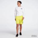 The North Face Men's Never Stop Shorts Black Medium