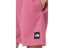 The North Face Men's Never Stop Shorts Purple Large