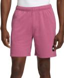 The North Face Men's Never Stop Shorts Purple Medium