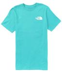 The North Face Men's Short-Sleeve Box NSE Tee, Light Grey Heather Military Olive / S