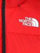 The North Face 'nuptse Rmst' Jacket