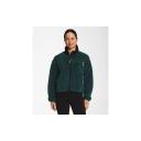 The North Face Women's Extreme Pile Full-Zip Jacket Brown Large
