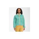 The North Face Women's Extreme Pile Full-Zip Jacket Brown Large