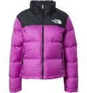 The North Face Womens Printed 1996 Retro Nuptse Jacket Antelope Tan/Ice Dye Print