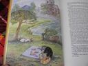 The Wind in the Willows [Book]