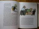 The Wind in the Willows [Book]