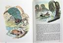 The Wind in the Willows [Book]
