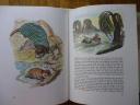 The Wind in the Willows [Book]
