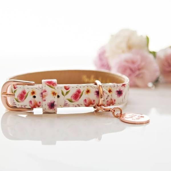 Think Pretty Thoughts - Bouquet Dog Collar | Pawfect Pals L