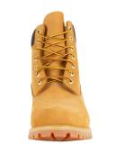 Timberland 6" Premium Waterproof Boots - Men's