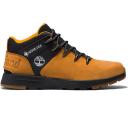 Timberland Sprint Trekker GTX Shoes, orange, 12.0