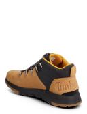 Timberland Sprint Trekker GTX Shoes, orange, 12.0