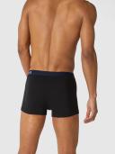Tommy Hilfiger 3 Pack Trunks - Multi
