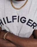 Tommy Hilfiger Arched Logo T-Shirt in Light Grey