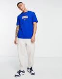 Tommy Hilfiger Blue T-Shirt