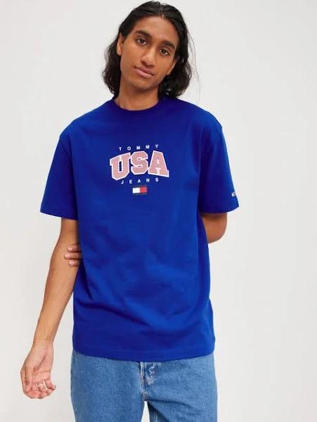 Tommy Hilfiger Blue T-Shirt