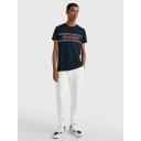 Tommy Hilfiger Chest Corp Stripe Logo T-Shirt in Navy